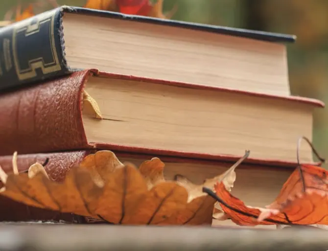 Boekentips